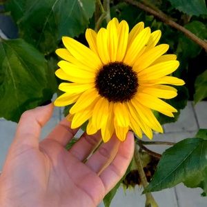 Meet your Posher, Brittney